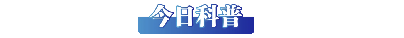 /data/storage/Upload/kd/2025/02/24/96cda246-93c4-4540-8213-9c199ed5c0b6.png