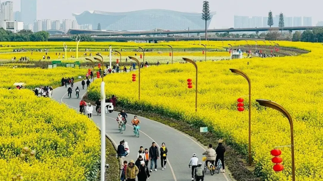 地铁三元站赏花热，这份出行提示请收下→