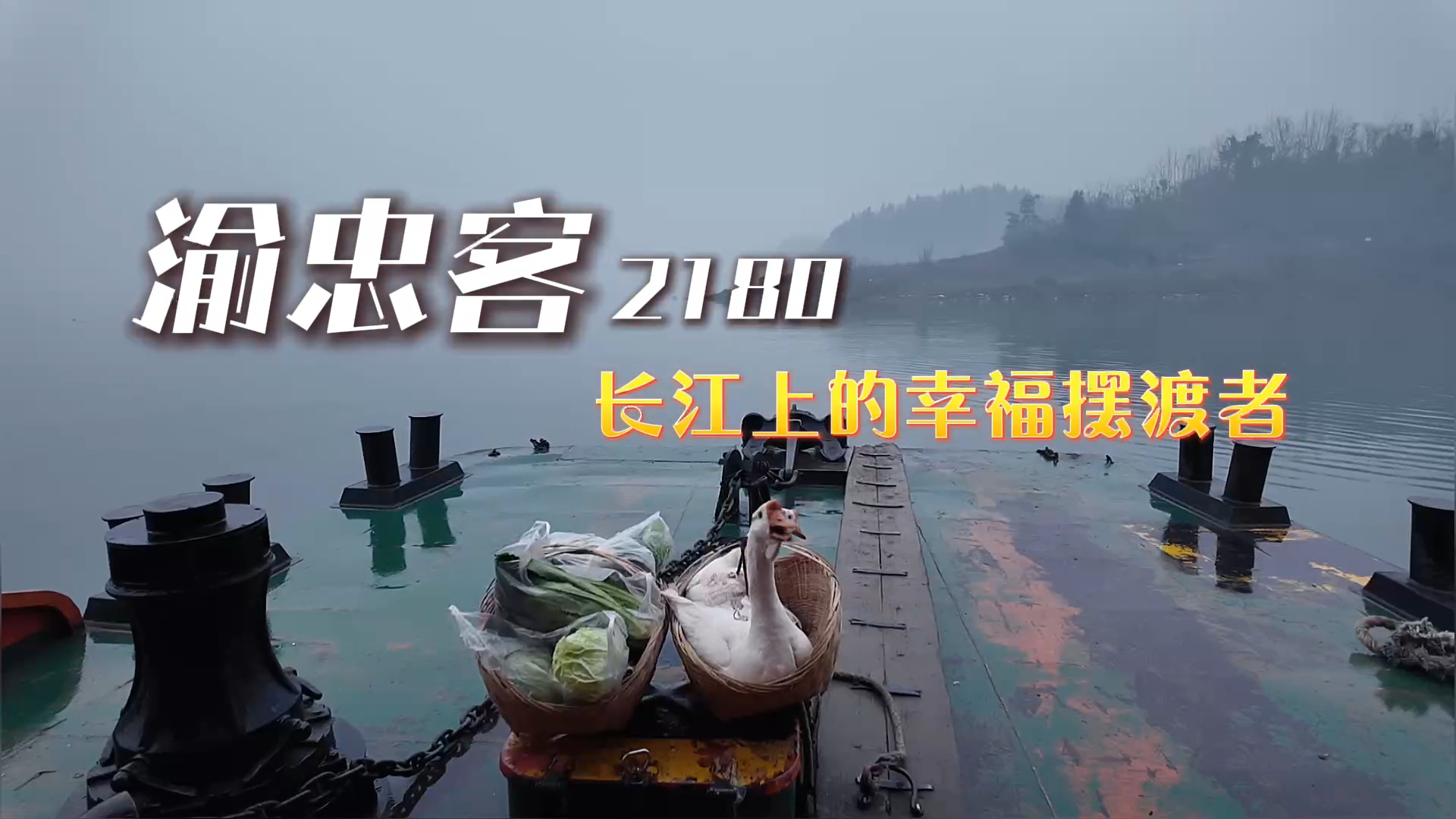 新春走基层 | 探访长江上的网红轮渡