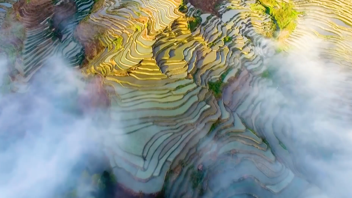 新春走基层｜梯田上的阿者科