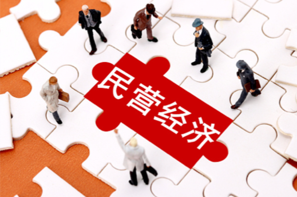 五部门：支持民营企业通过资本市场发展壮大