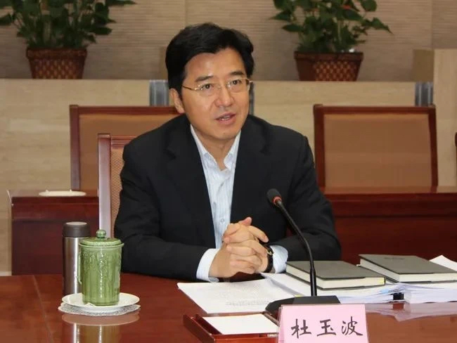 十三届全国人大教科文卫委员会副主任委员杜玉波被开除党籍