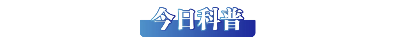/data/storage/Upload/kd/2025/03/04/80195335-48f5-425a-92ba-9bcf3cb824e1.png