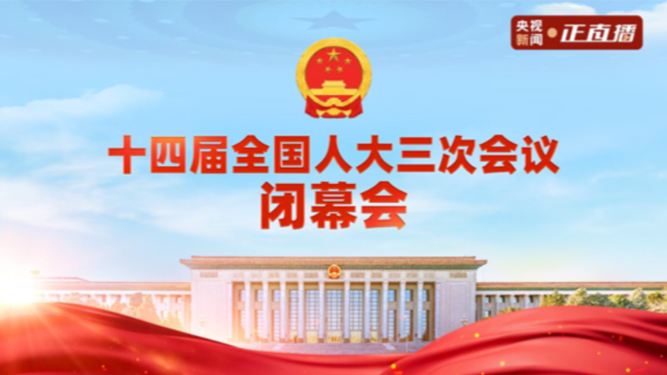 十四届全国人大三次会议闭幕会