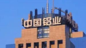 中铝集团：增持！