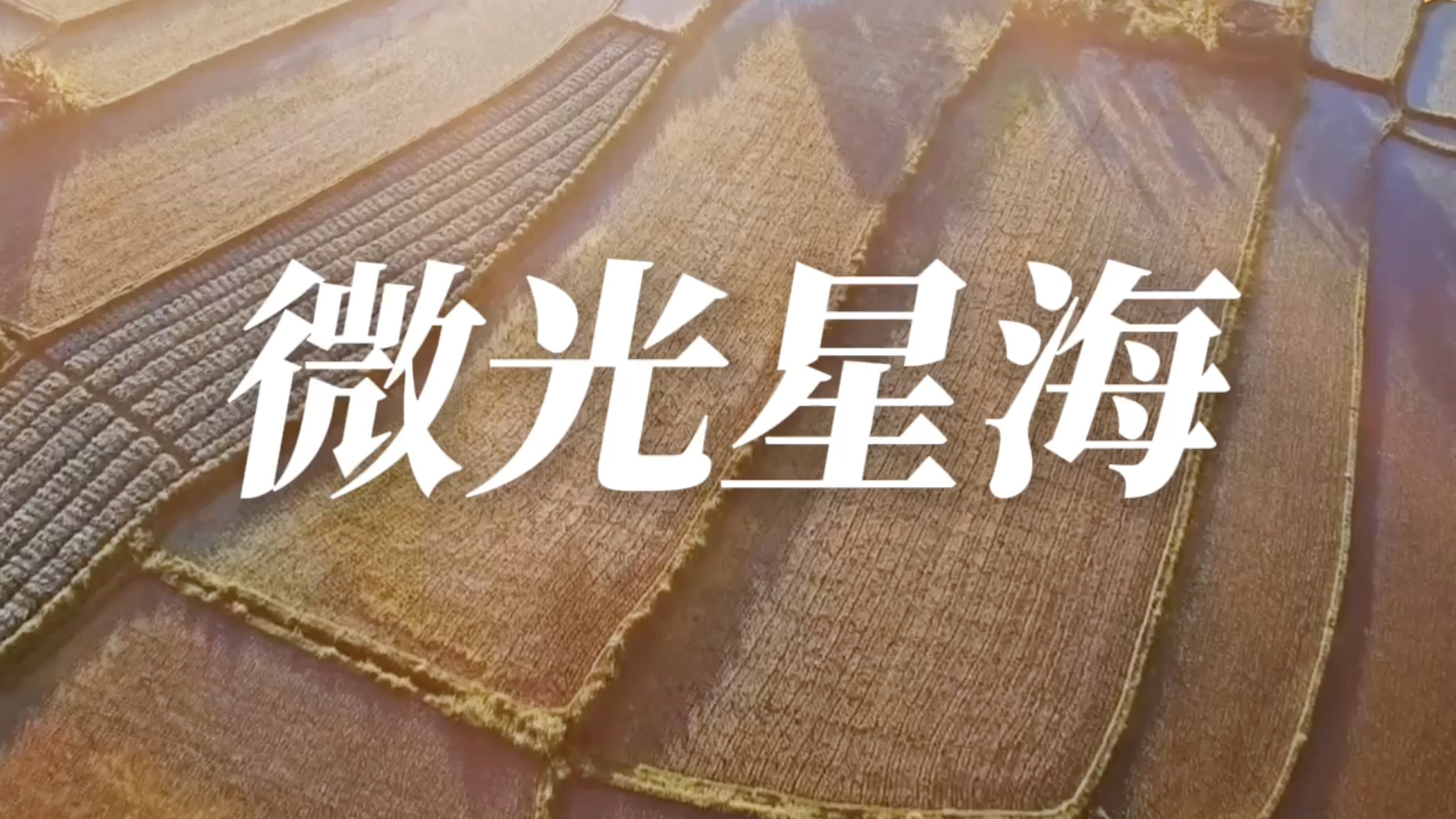 视频｜微光星海