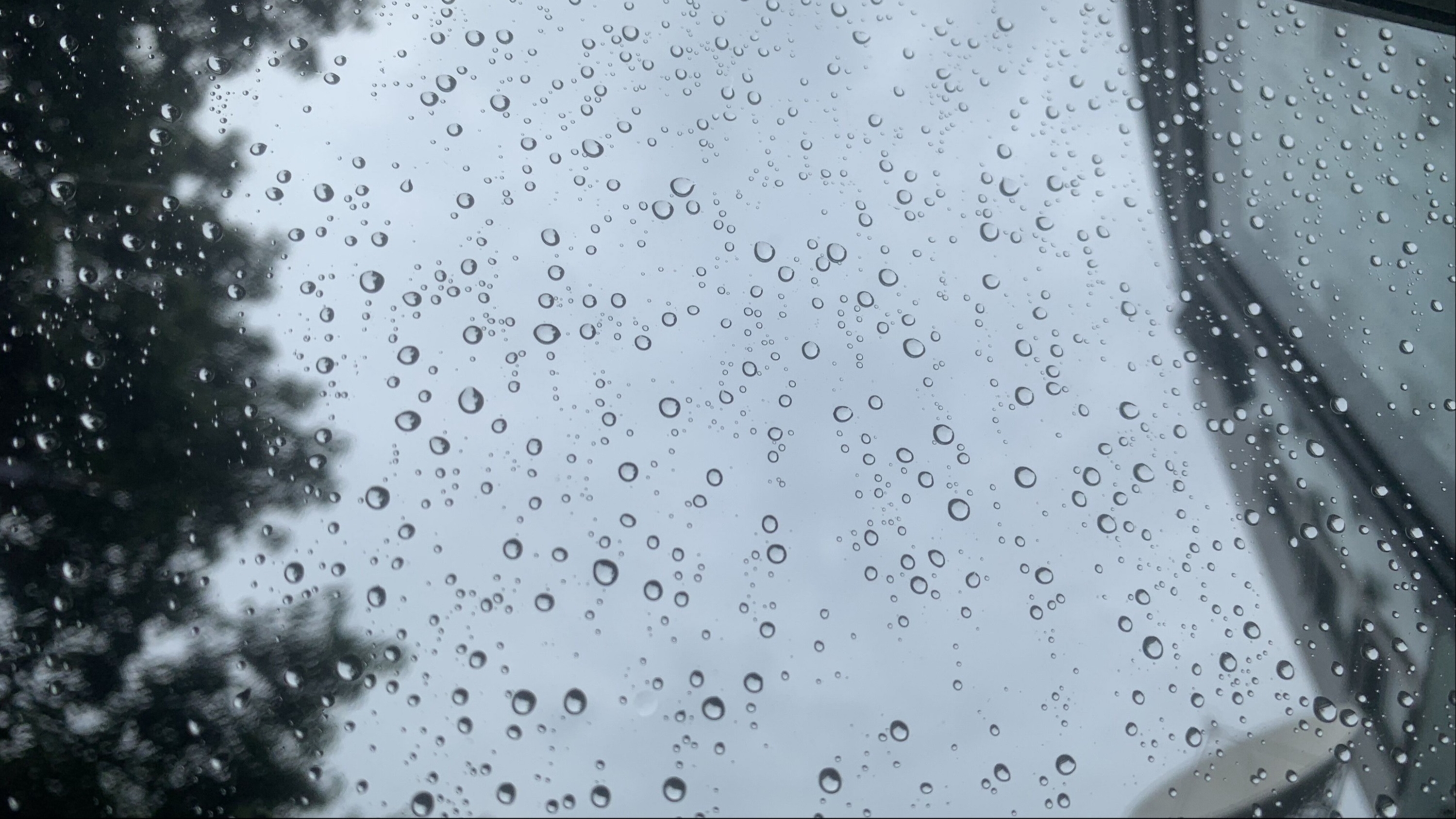 成都发布暴雨橙色预警信号：未来3小时这些区域有强对流天气