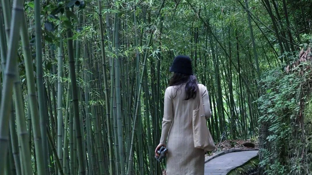 想要耍清凉？成都这里满“竹”你！