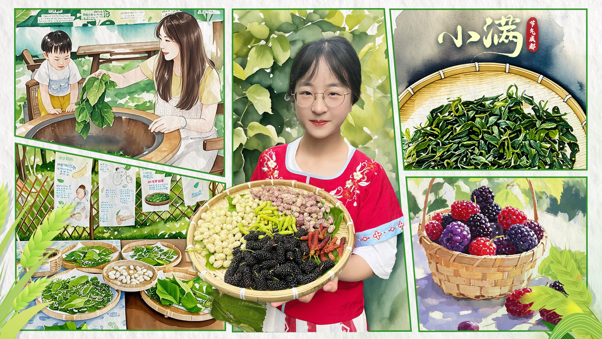 节气成都｜小满话蚕桑 生态园里体验蚕事欢乐