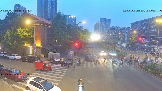 绿化带变身斑马线 一环路这个路口安全效率双提升