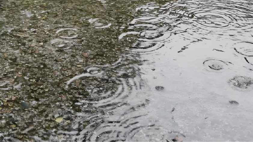 降雨再度增强 端午假期前两天南方多地有大到暴雨