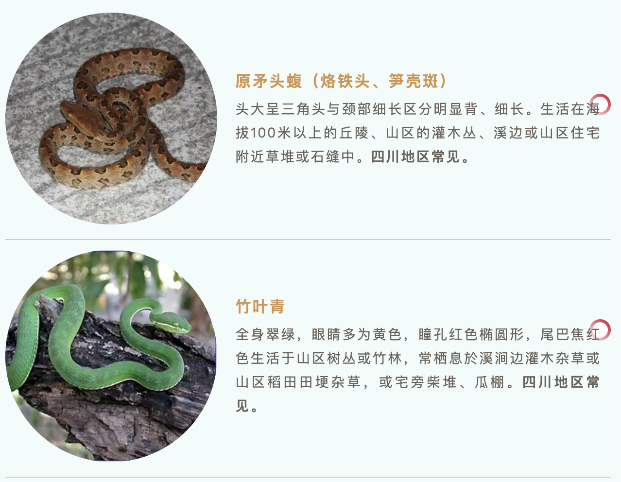 4a12e105-a033-4ccf-8012-248ccee46715.png