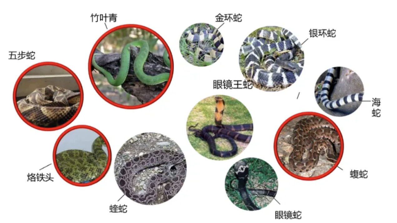 4adbb160-4c2b-4390-a68f-a304da3c5571.png