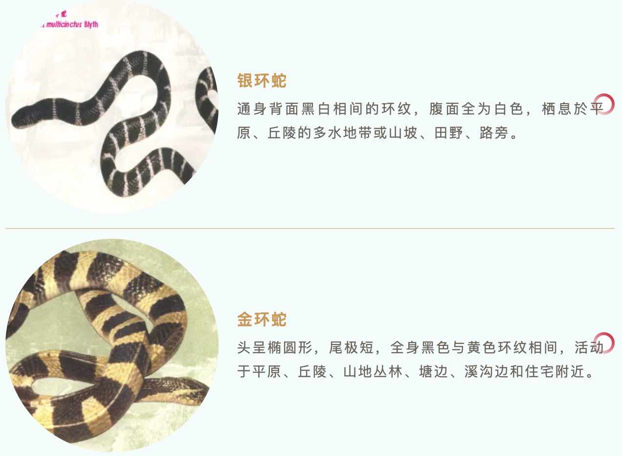 73cbf643-4171-4fa5-b3ab-d1926a2b2d69.png