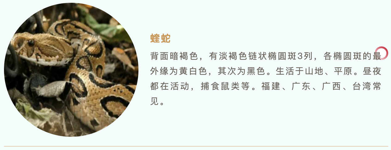 78eda68e-3b5f-4aff-b4a1-b448787e69d1.png