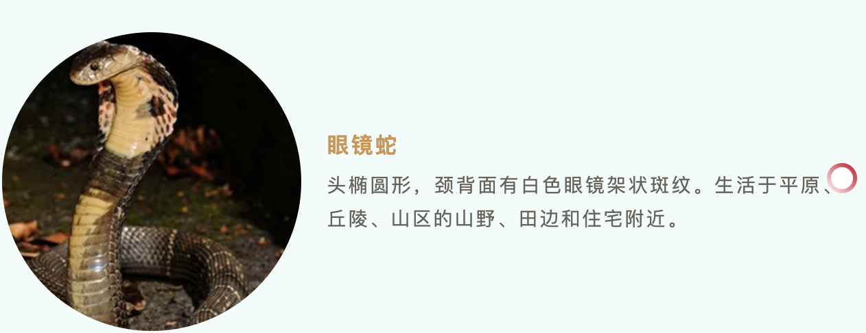 b8208e0f-65d6-4c20-a008-c705a588efc7.png