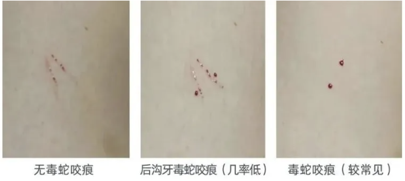 bc9a82ad-ec1e-4a93-9fa0-4a2479f0d698.png