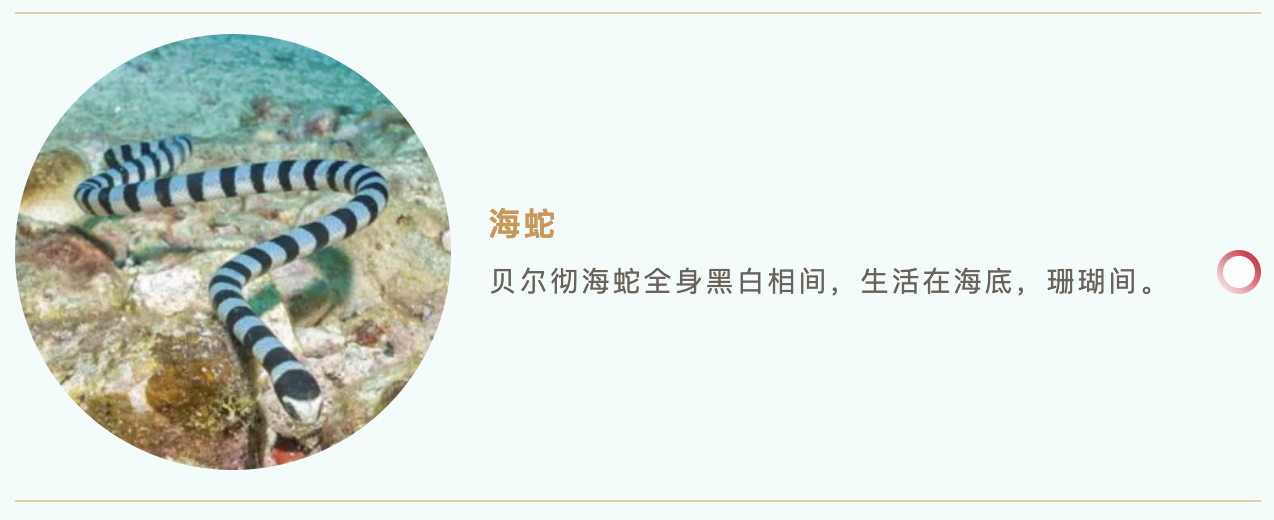 f3d9f968-1f95-4e8e-a3dd-562b22272354.png