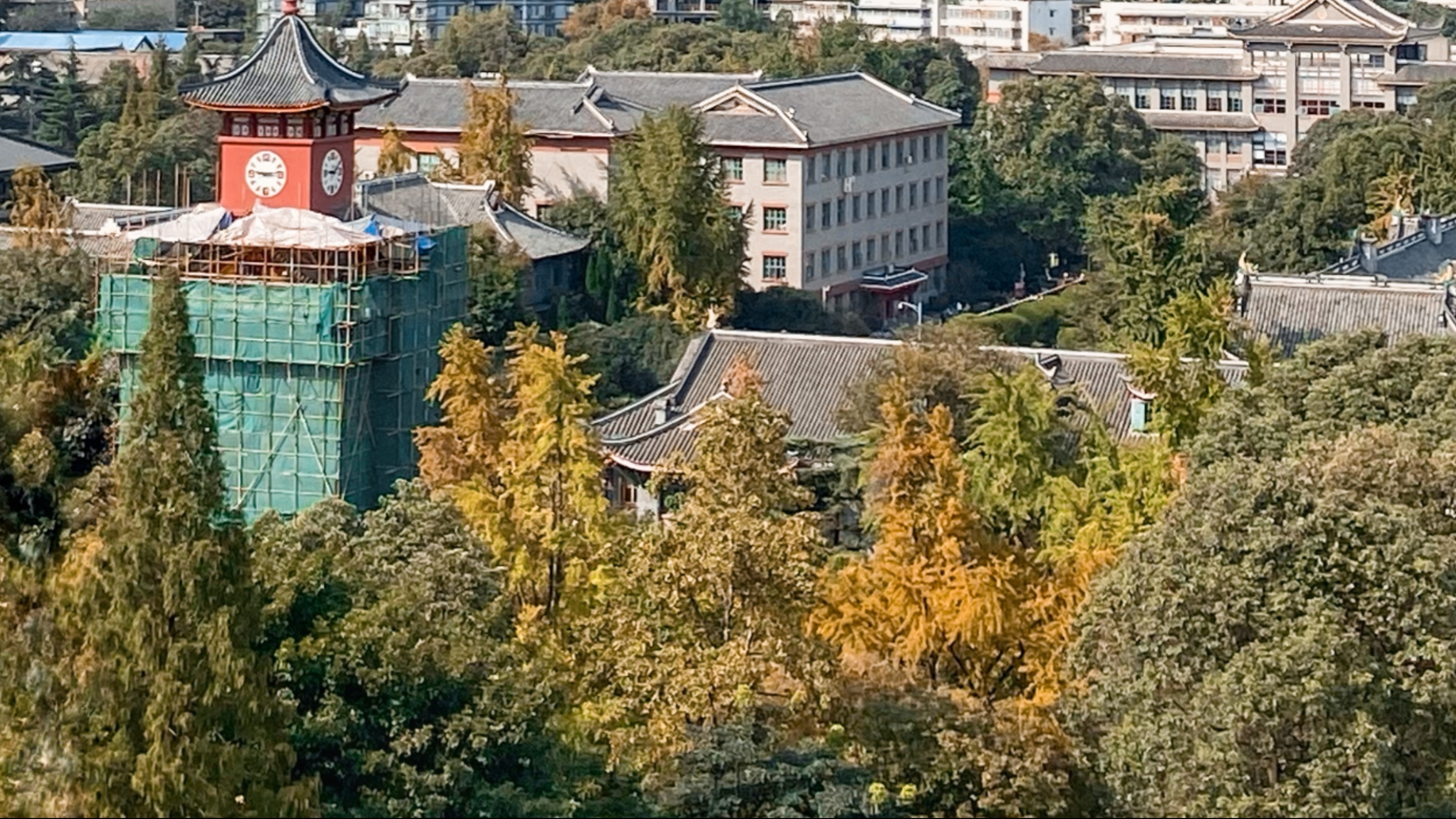 2025软科中国大学专业排名发布，四川高校20个专业全国第一