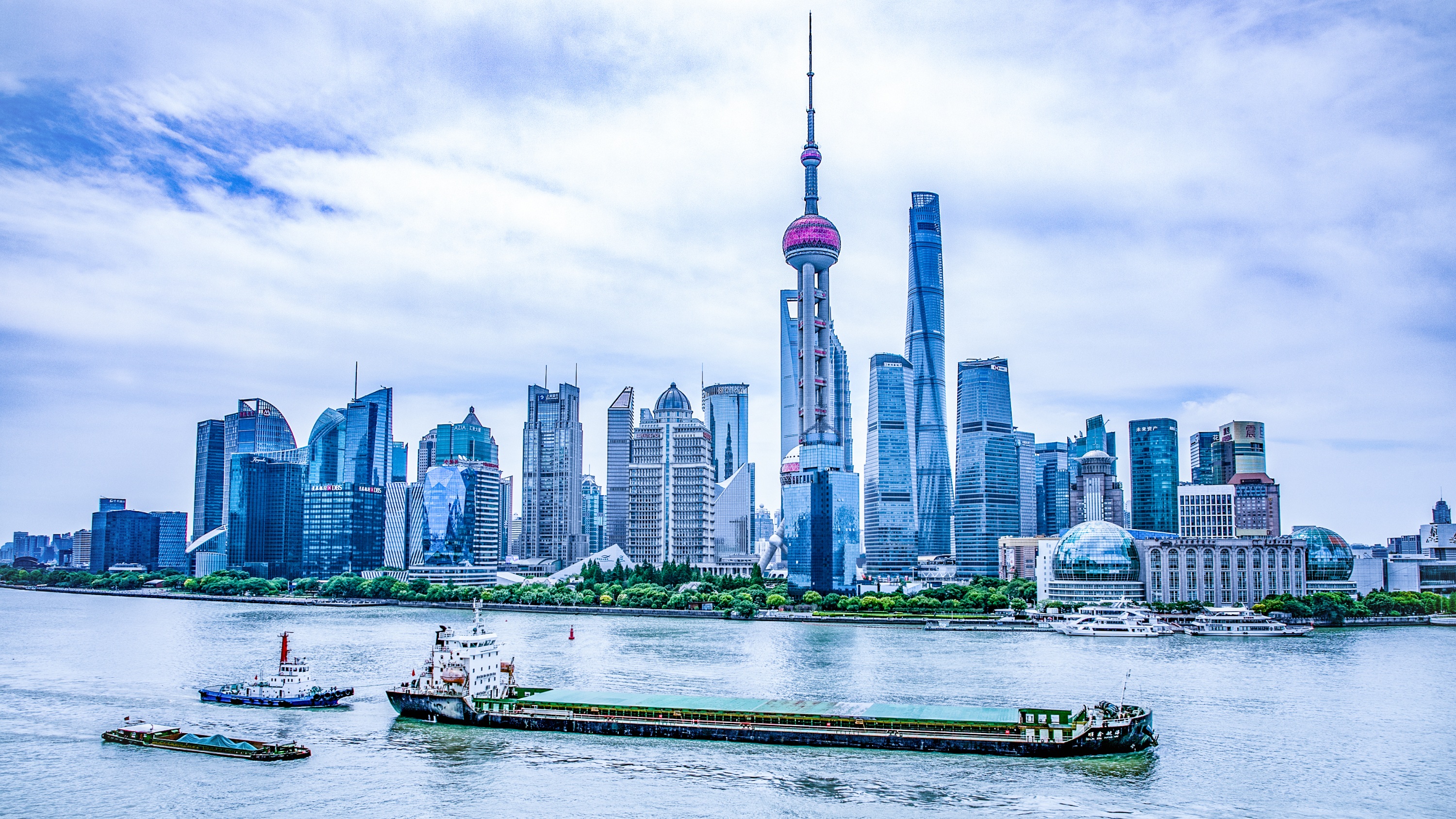 中国资本市场学会在沪成立