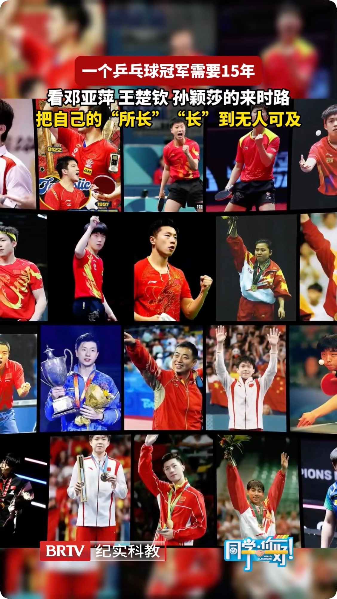 视频｜把自己的“所长”“长”到无人可及 看乒乓球冠军的来时路