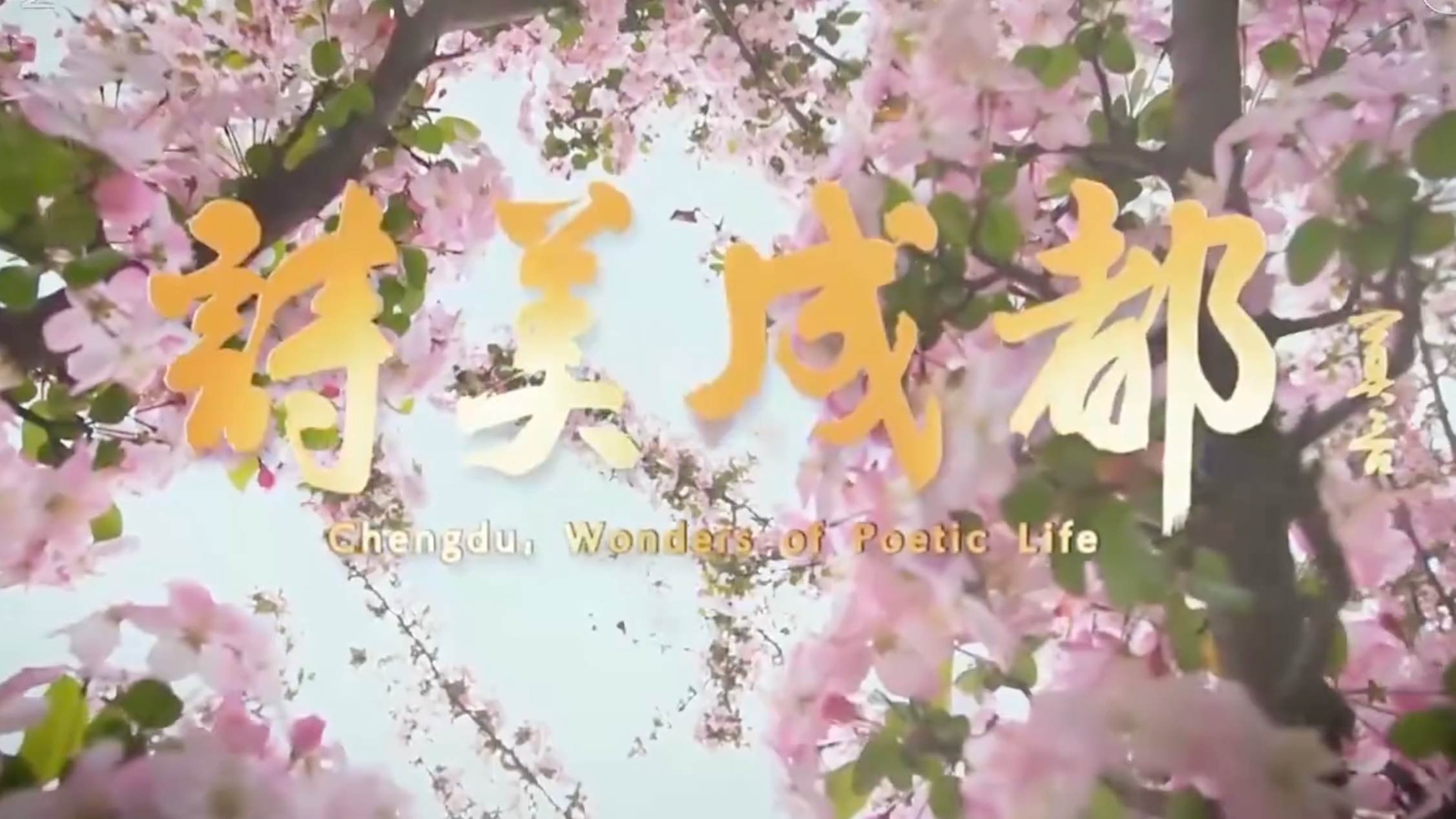 视频｜以诗歌为核心 人文纪录片《诗美成都》在总台纪录频道播出