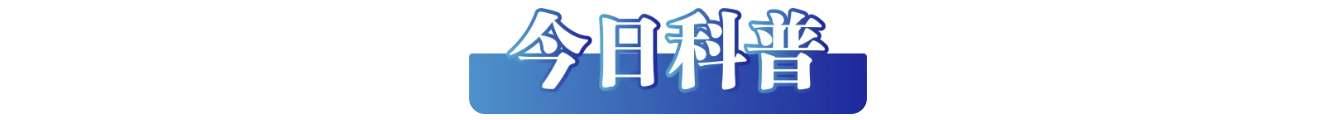 0cc52d94-f113-4bc5-ac9e-3e2bd5626ed1.png