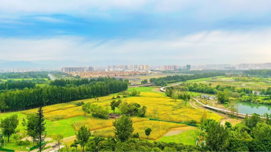 全国县域旅游“百强县”揭晓！成都都江堰、大邑等5区（市）县上榜