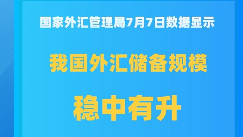 我国外汇储备规模上半年保持稳中有升