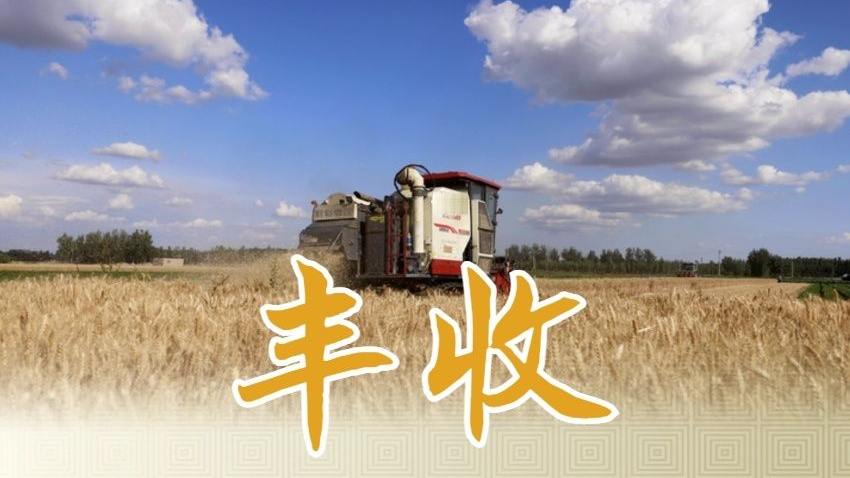 今年全国夏粮获得丰收 总产量达2994.8亿斤