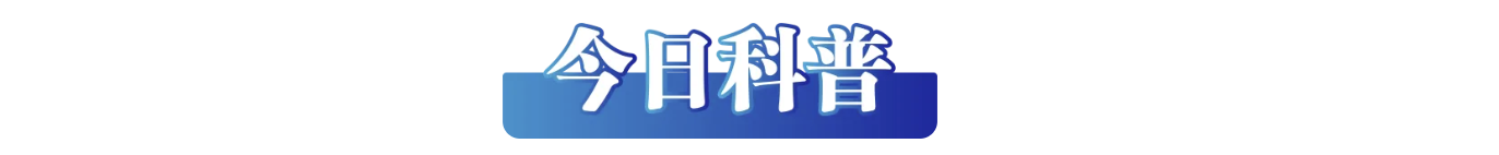 125aff71-aec4-44fd-b520-91db7acf37c7.png