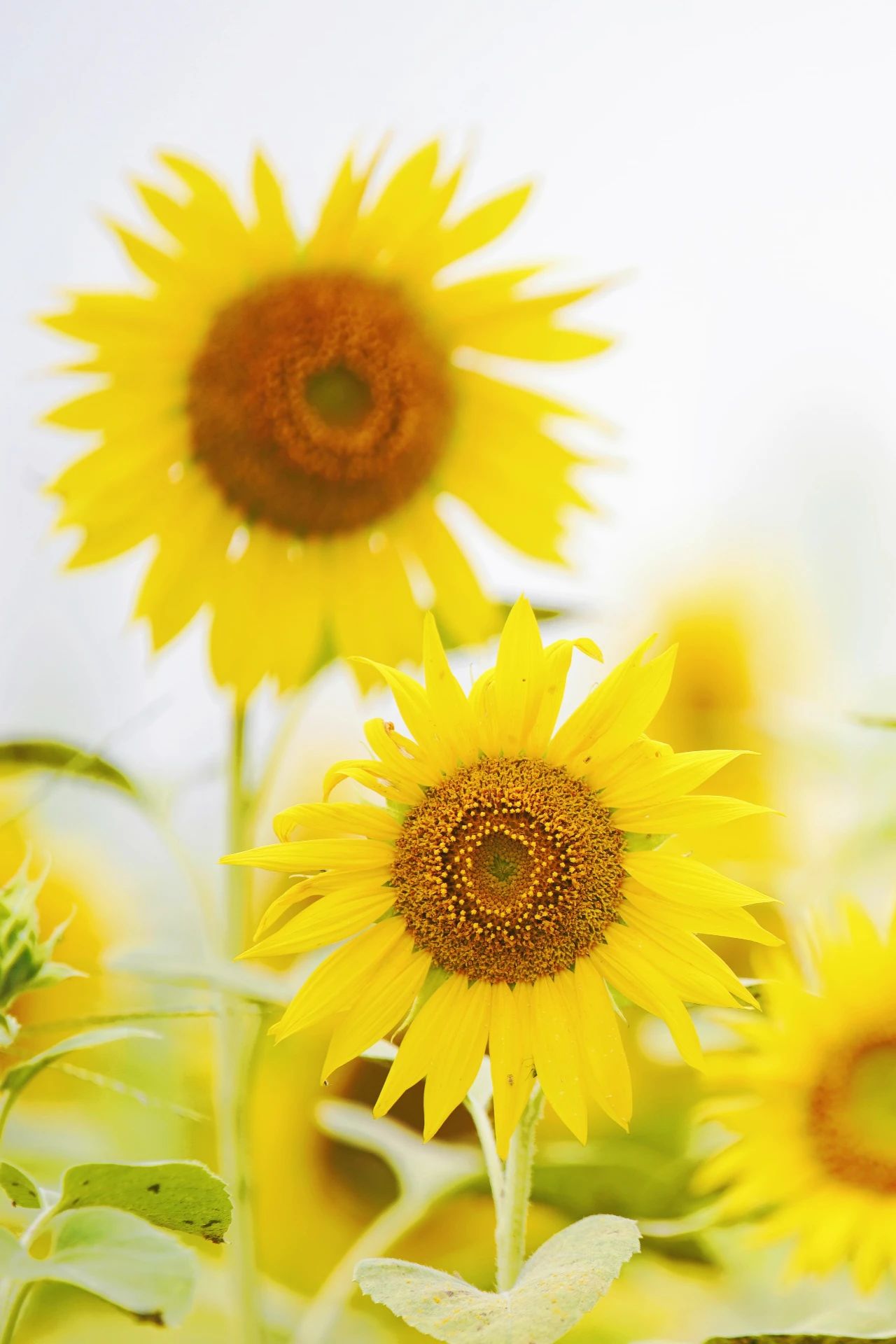 2f967c1a-6638-4beb-85aa-5f0a6e01739b.jpeg