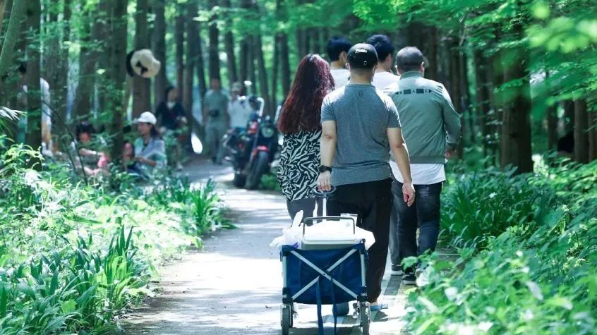 夏日高温难耐？成都人私藏“避暑宝地”来了