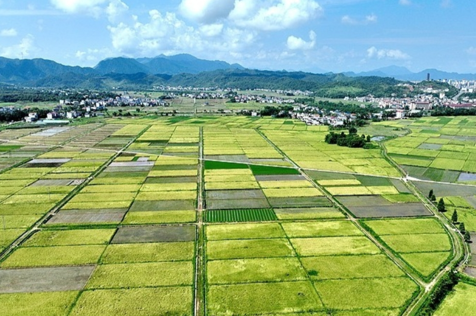 第二轮土地承包到期后再延长30年整省试点范围扩大到7个省份