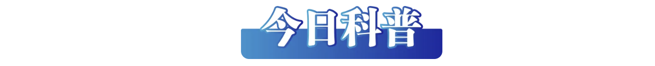 2f48a2fb-9cd9-4233-a109-2b4481ae328b.png