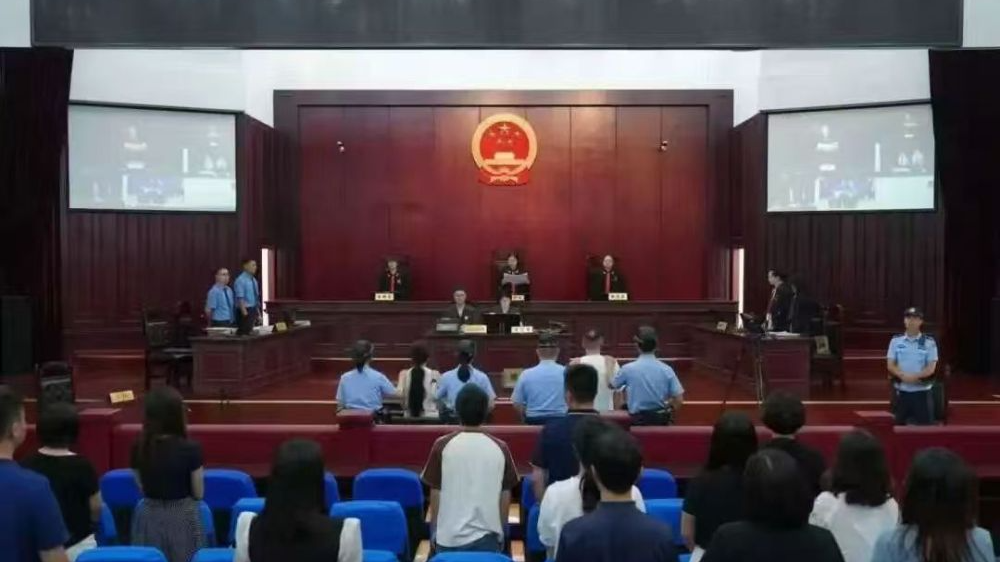 假扮熊猫“粉丝”造谣敛财——揭开“大熊猫被虐待”谣言背后的利益链