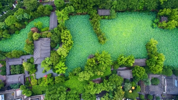 带上票根，新都这些景区免费！打折！