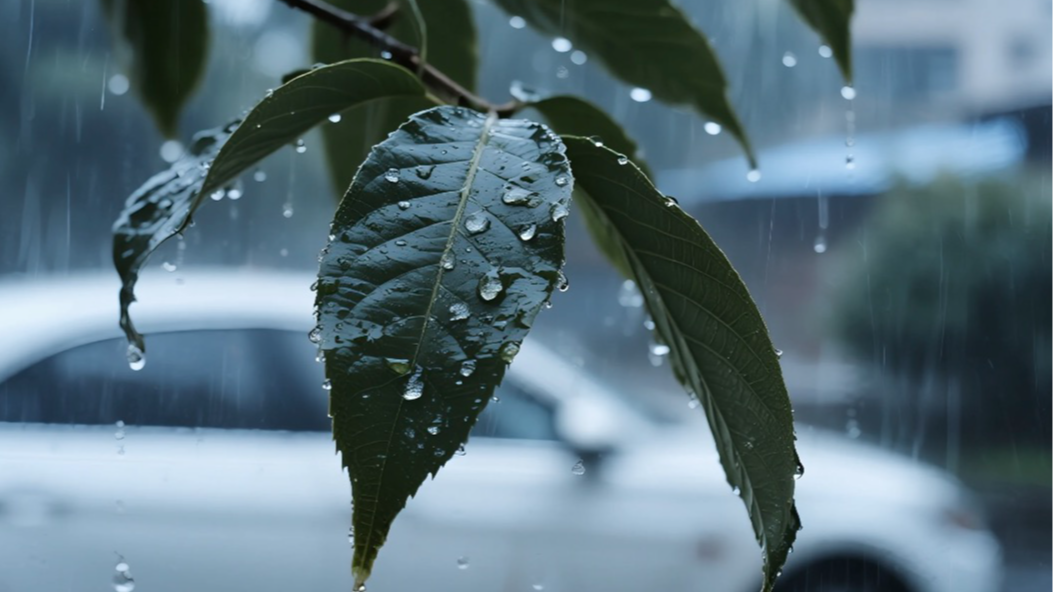 终于等到！“退烧雨”明晚抵达，高温天告一段落