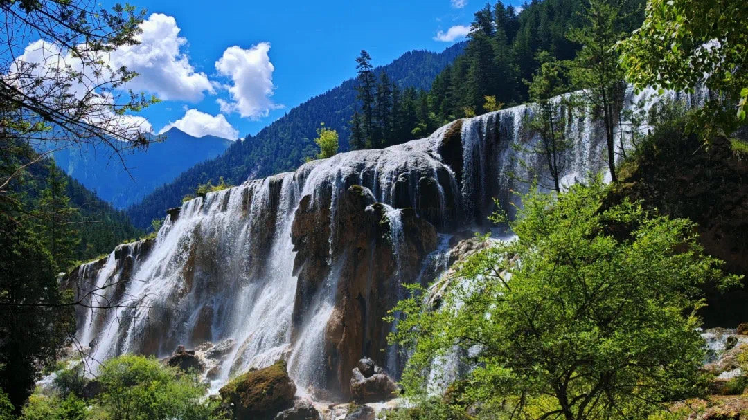 8月8日前门票售罄！九寨沟迎来避暑游高峰，创同期游客接待量历史新高