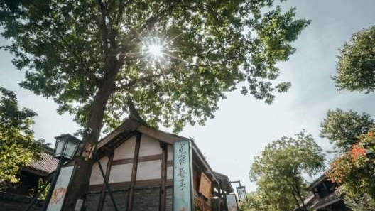 成都两个消费场景入选全国典型案例