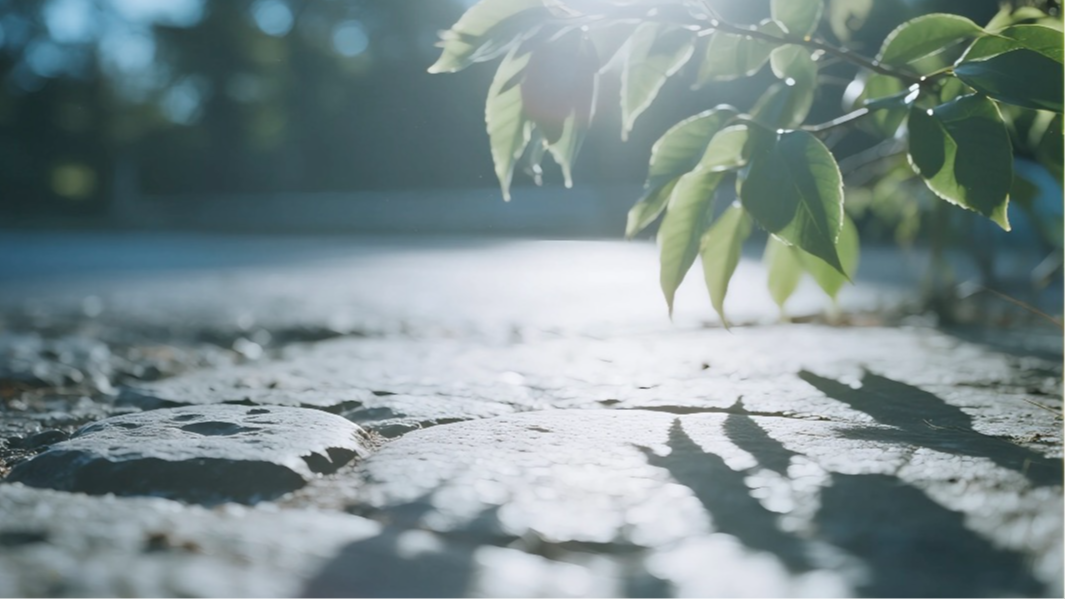 最高气温可达37℃ 成都继续发布高温橙色预警信号