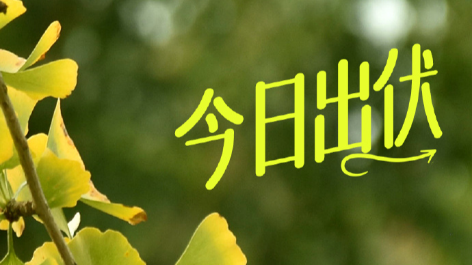 出伏啦！高温依旧，收下这份“秋补”指南