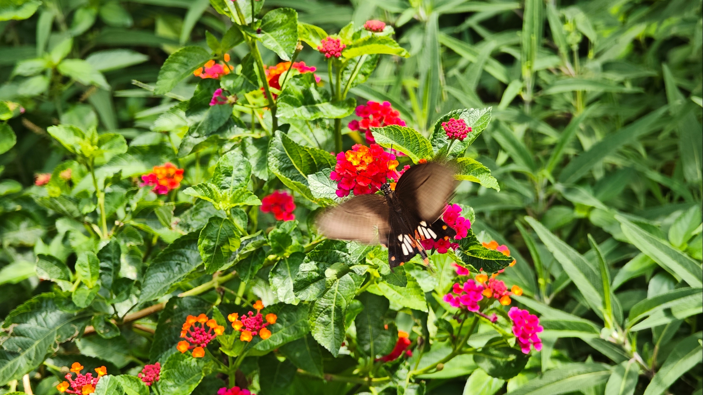 “出伏”后身体最怕3件事！养生记住这6点，秋冬少生病
