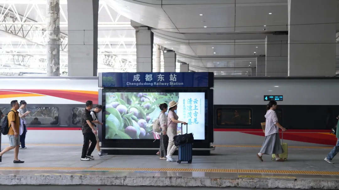 旅客省心更省力 成都东站、成都西站试点“轻装行”服务