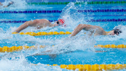 游泳、乒乓、网球...9月到12月，成都多项高水平赛事来袭！