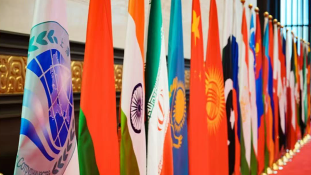 今年上半年 中国与上合其他成员国货贸达2477亿美元