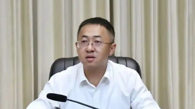 大理市委书记字德海被查