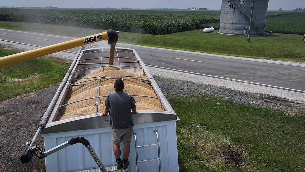 美大豆协会呼吁尽早同中国达成协议缓解豆农危机