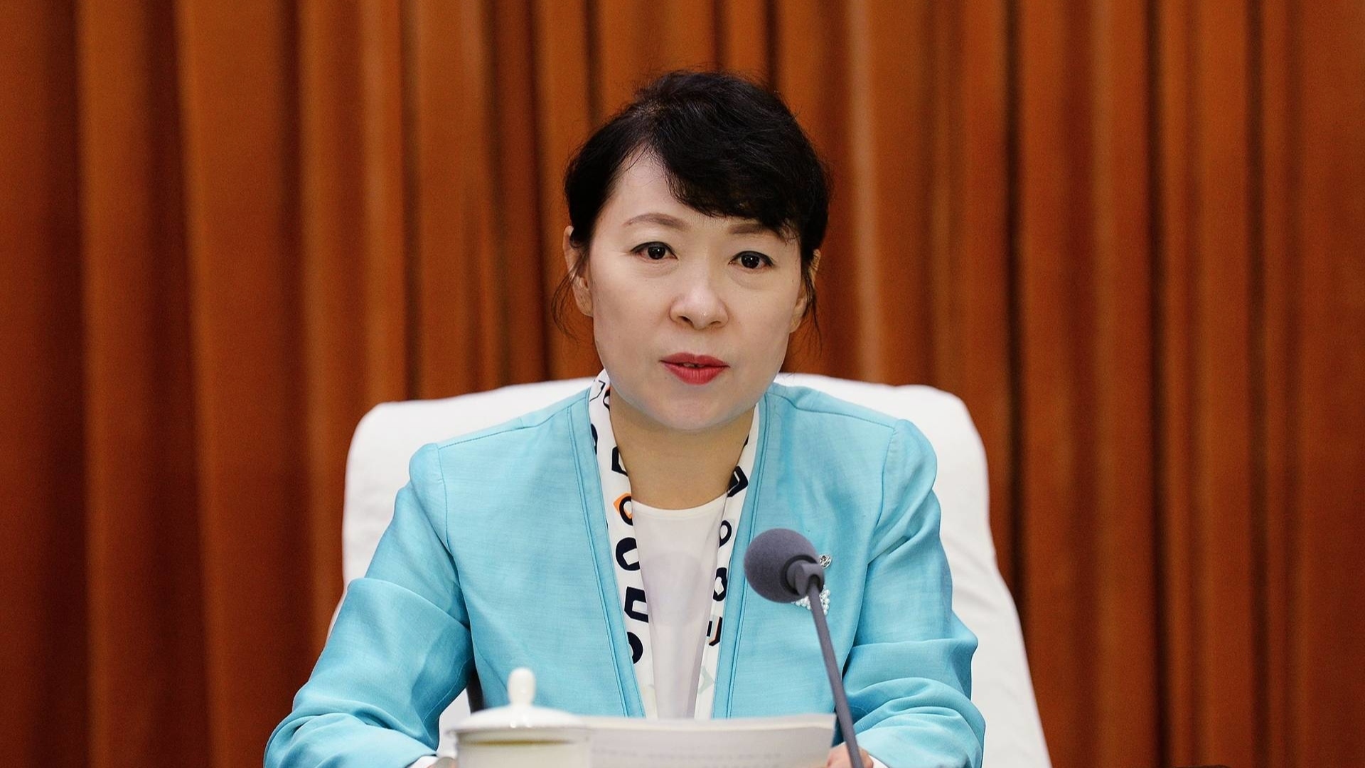 内蒙古自治区党委副书记、自治区政府主席王莉霞被查