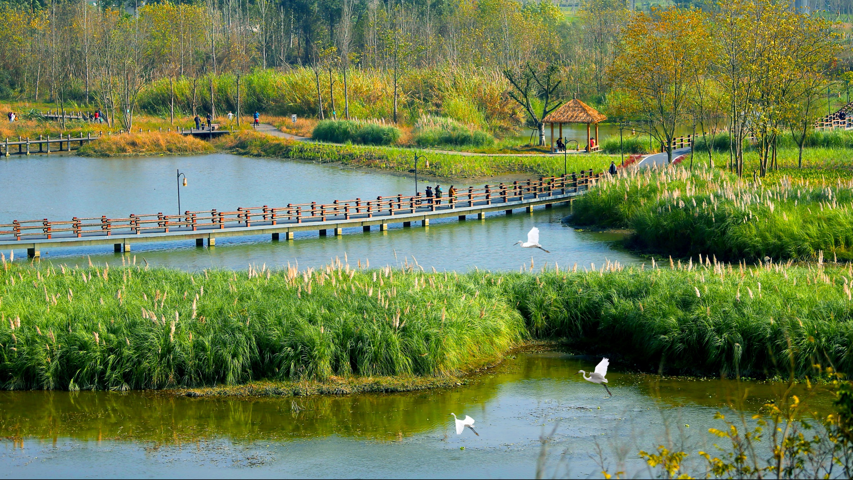 推窗见雪山，漫步绿道间：成都用公园城市的方式打开幸福生活